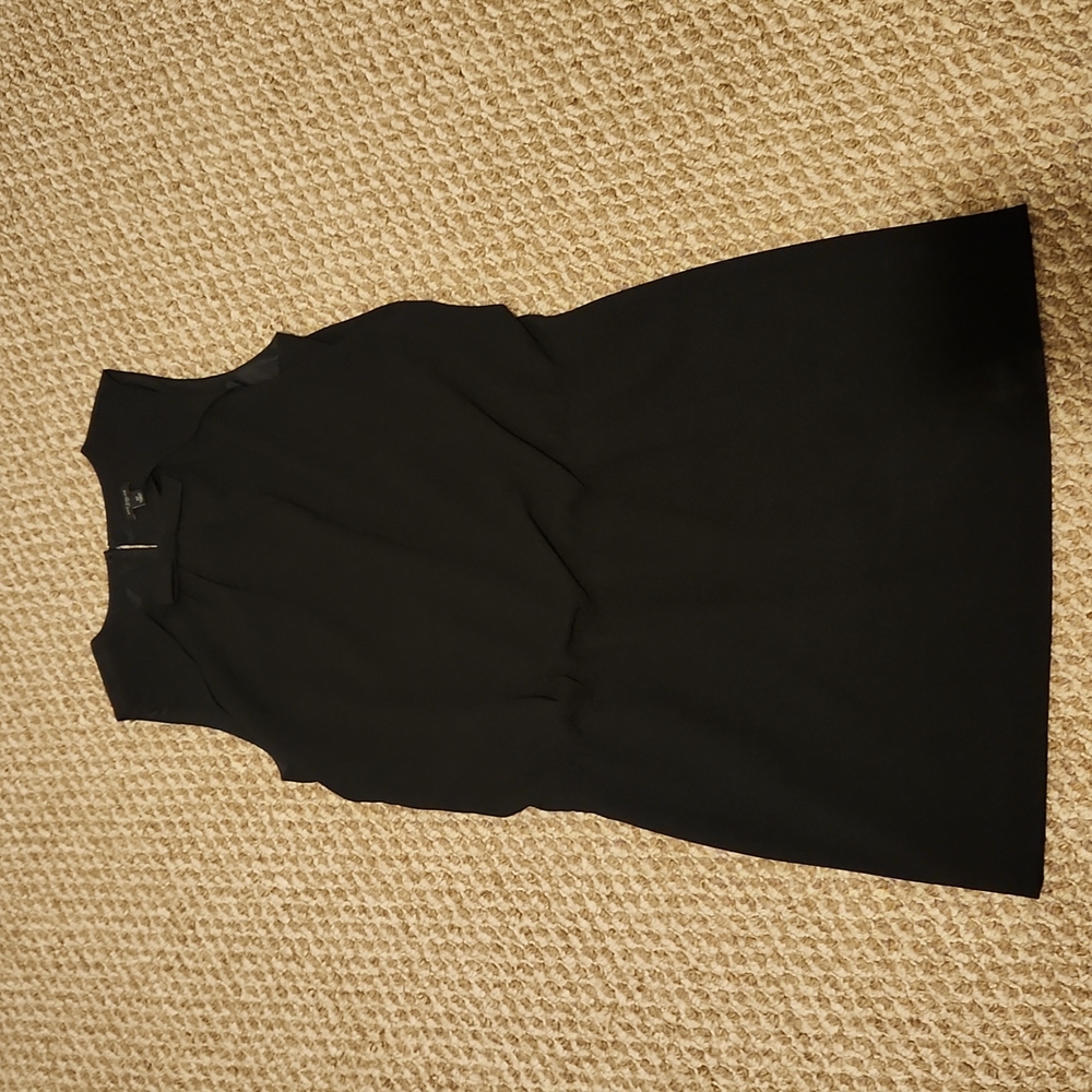 Ann Taylor Dress 👗